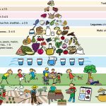 Pirámide Alimentaria