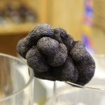 Feria de la Trufa de Soria