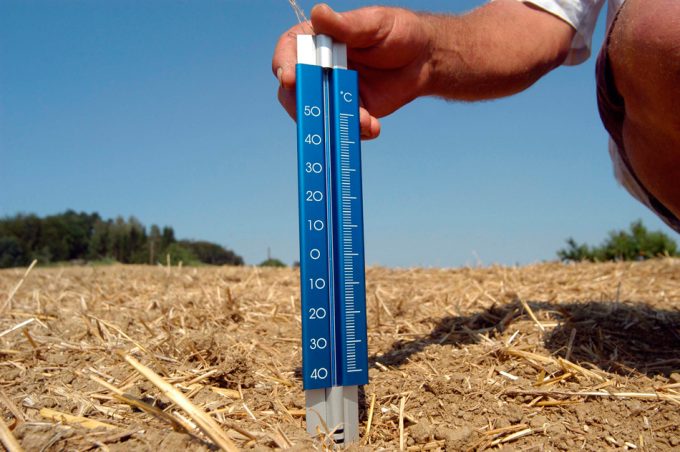 Las temperaturas extremas afectan a la seguridad alimentaria