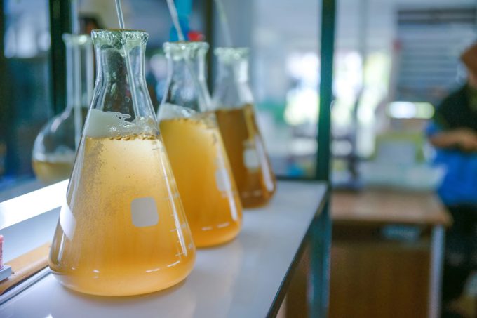 Investigaciones con la fermentación de precisión