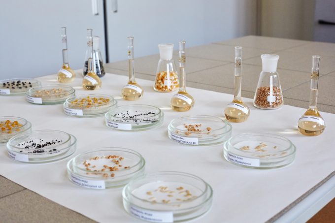 Posibilidades de la fermentación de precisión