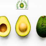 IGP aguacate de Canarias