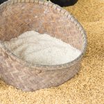 Arsénico inorgánico en el arroz