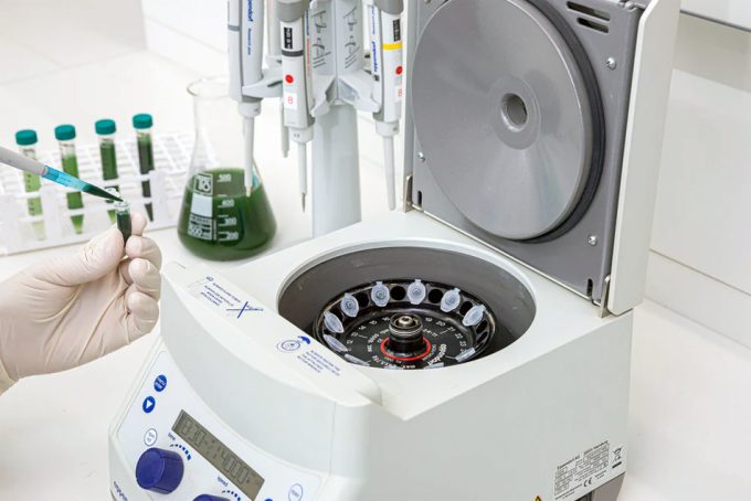 Transformación de la espirulina en salmón vegetal