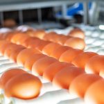 Nueva normativa del huevo en España