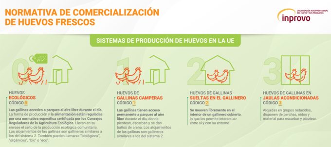 Normas comercialización huevo