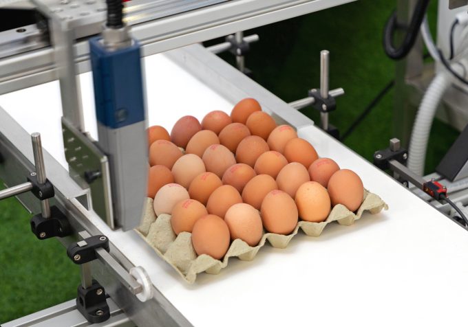 Código de los huevos