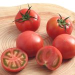 Tomate variedad Amela