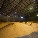 Inteligencia Artificial para mejorar la seguridad alimentaria