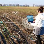 Inteligencia artificial reemplazará a los asesores agrícolas