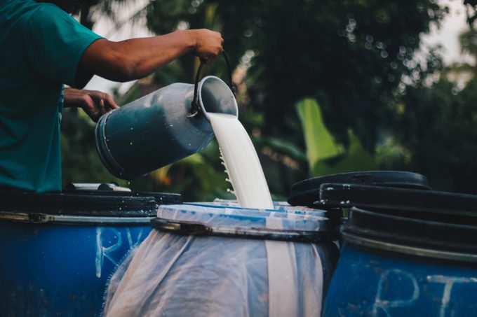 Peligros de la leche cruda