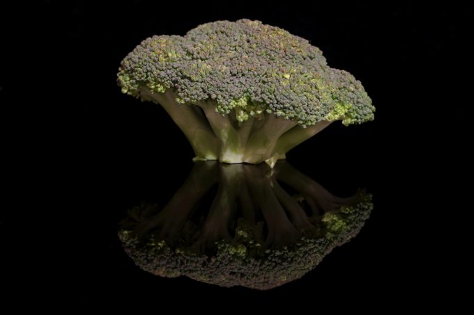 Materia oscura nutricional