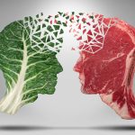 Proteína vegetal vs animal