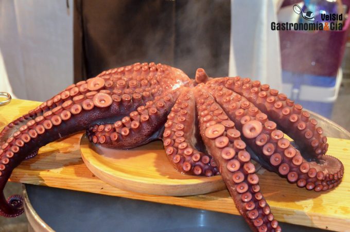 Pulpo gallego