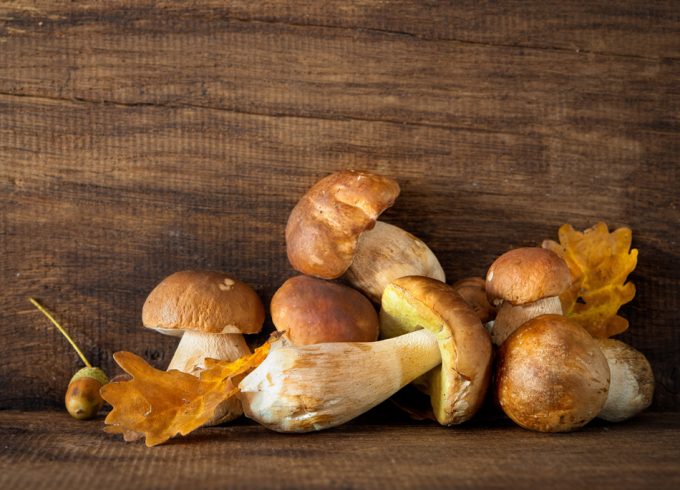 Valor se la ergotioneína