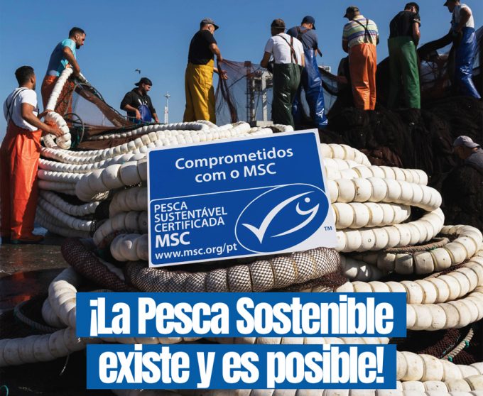Sello que certifica la pesca sostenible