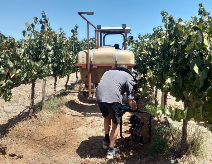 Plaguicidas boomerang