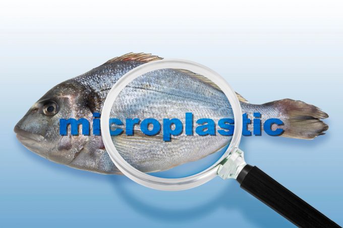 Microplásticos y nanoplásticos son un peligro para la salud humana