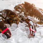 Reino Unido prohibirá hervir crustáceos vivos