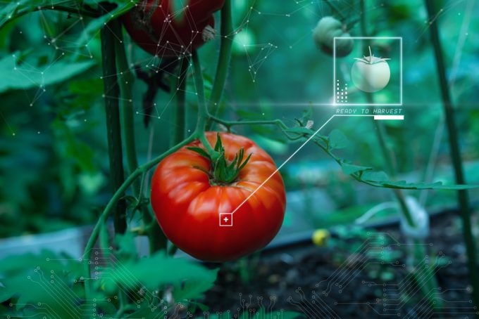 Alimentos más sostenibles y con trazabilidad gracias a la inteligencia artificial