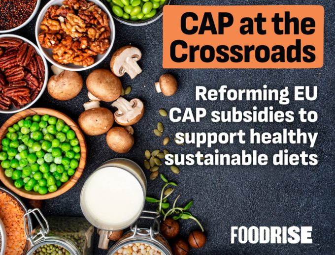 CAP at the Crossroads 