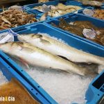 Mercurio en el pescado