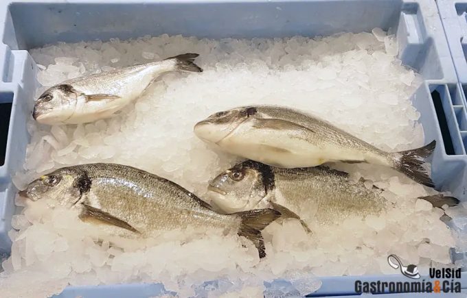 Las especies pequeñas de pescado son más saludables