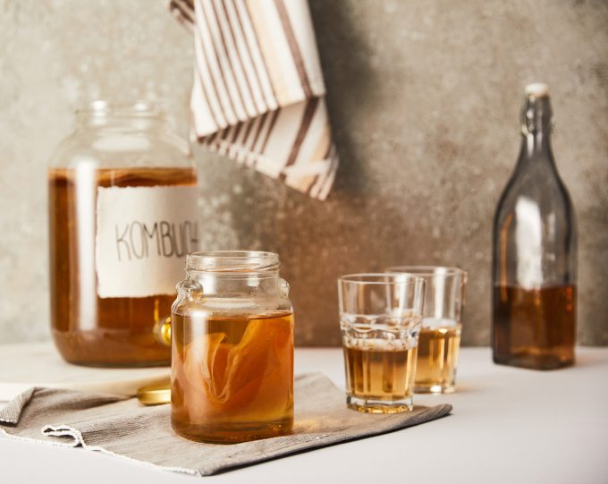 Scoby Kombucha
