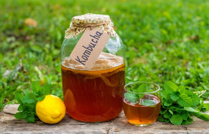 Kombucha