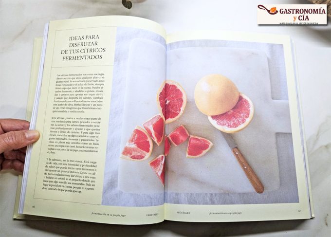 Libro de fermentación