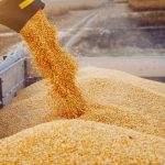 Seguridad alimentaria y guerra en Irán