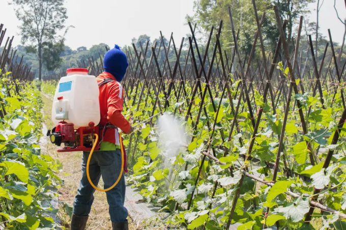 Pesticidas peligrosos utilizados en países en vías de desarrollo