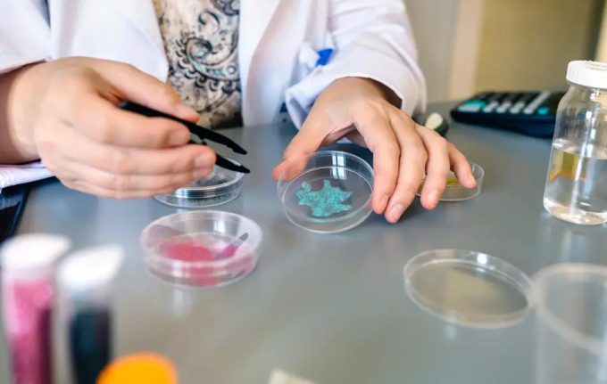 Contaminación alimentaria con microplásticos