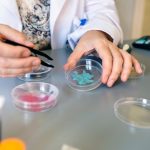 Relación entre los microplásticos y la salmonella