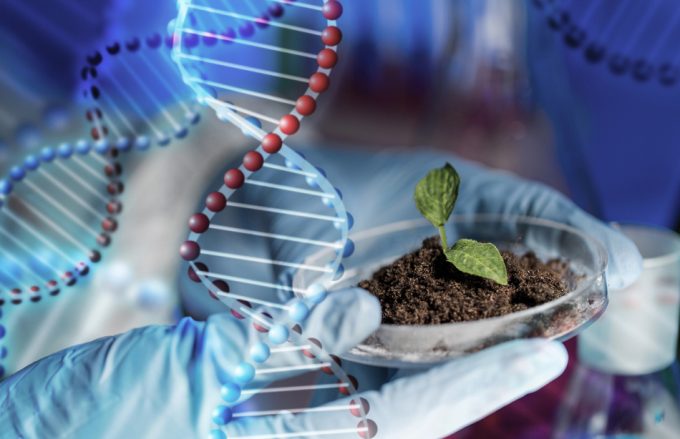 Nuevas técnicas genómicas en la UE