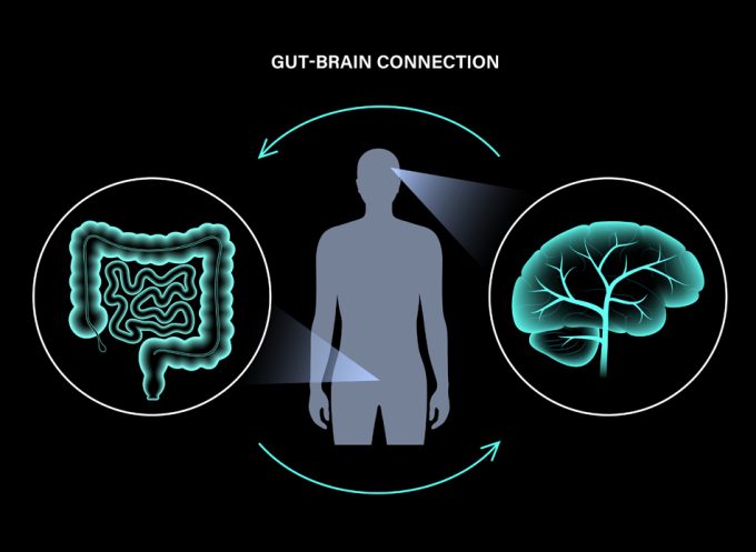 Los antojos guardan relación con la comunicación entre el intestino y el cerebro