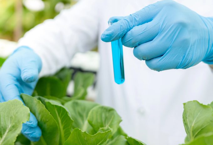 Control de pesticidas en los alimentos importados de Europa