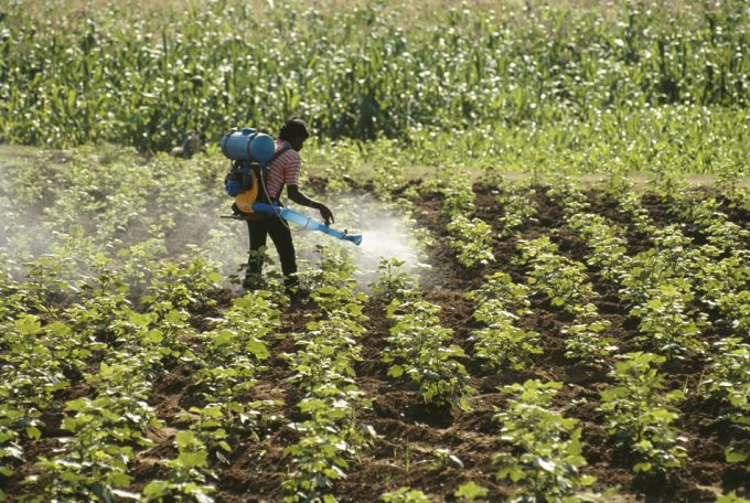 Pesticidas prohibidos utilizados en terceros países