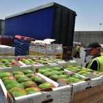 Pesticidas prohibidos en la Unión Europea