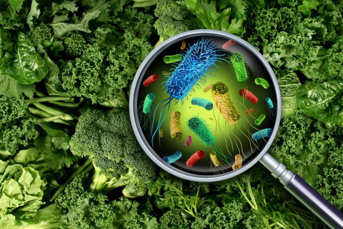 Mejorar la seguridad alimentaria mundial es una prioridad