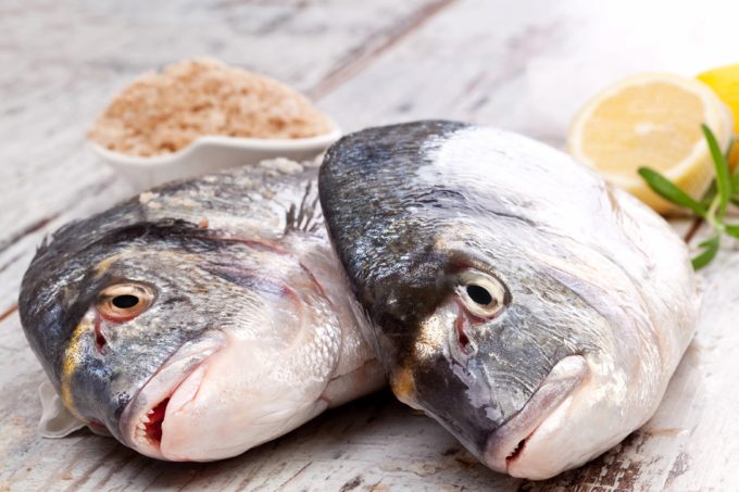 Control de dioxinas y PCB en alimentos y piensos en la Unión Europea