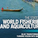 Estado mundial de la pesca y la acuicultura en 2026