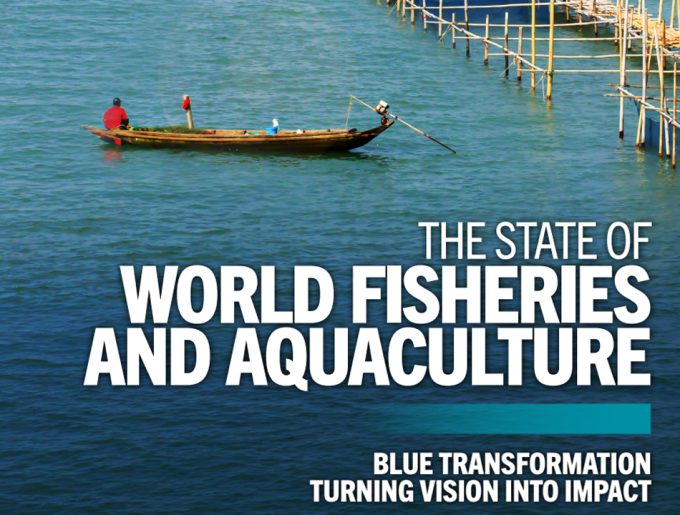 Estado mundial de la pesca y la acuicultura en 2026