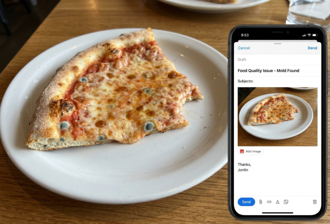 Pizza manipulada digitalmente con moho