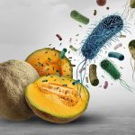Informe de la OMS sobre la seguridad alimentaria mundial
