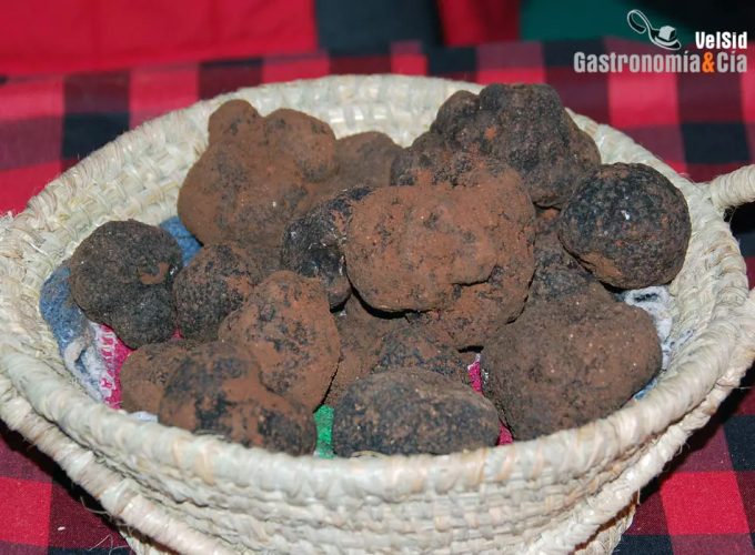 Trufa negra de Teruel
