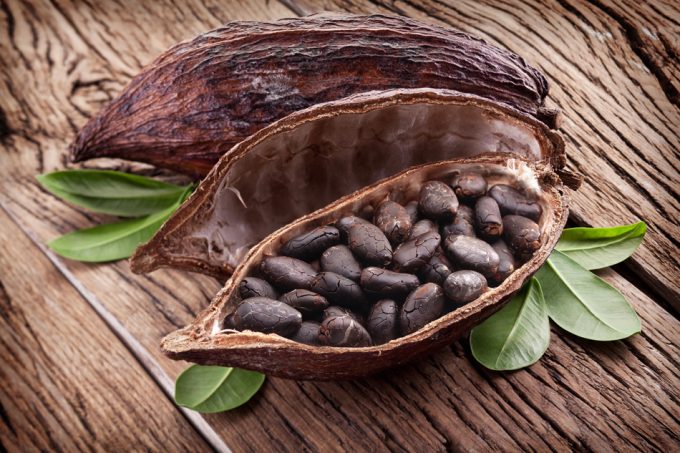 Ampliar la variedad genética del cacao