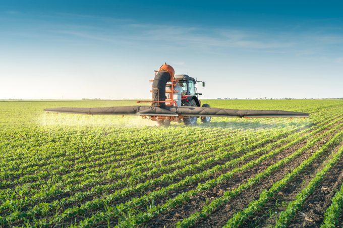 Riesgos del uso de pesticidas en la producción de alimentos