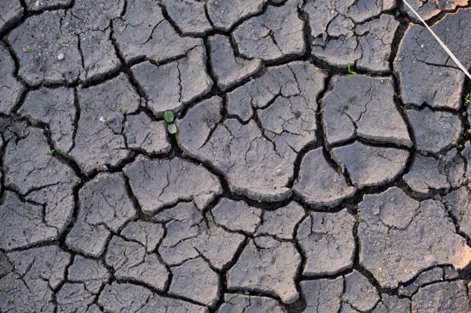Mejorar la gestión de la tierra y los recursos para mejorar la productividad alimentaria