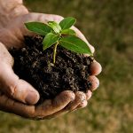 Degradación del suelo y producción de alimentos